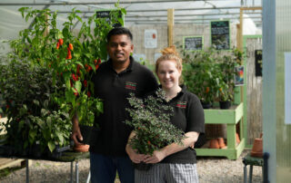 South Devon Chilli Farm