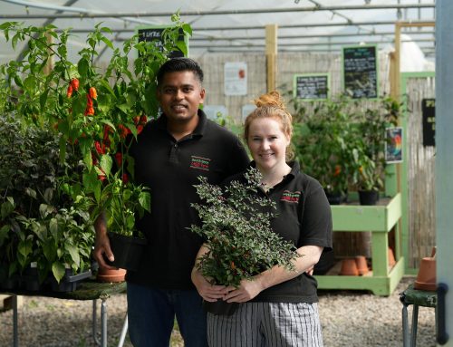 Meet the Producer – South Devon Chilli Farm